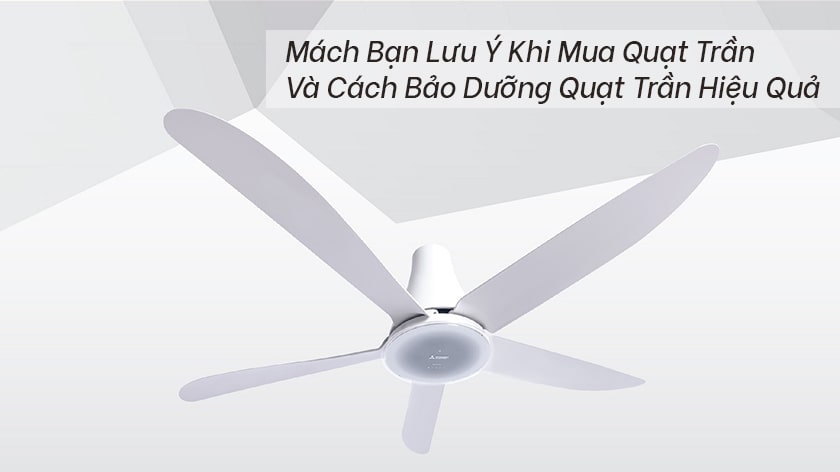 Mách bạn lưu ý khi mua quạt trần và cách bảo dưỡng quạt trần hiệu quả